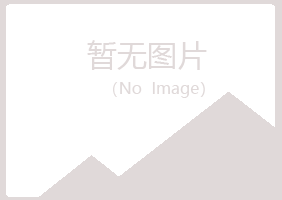 马山县凌雪化学有限公司